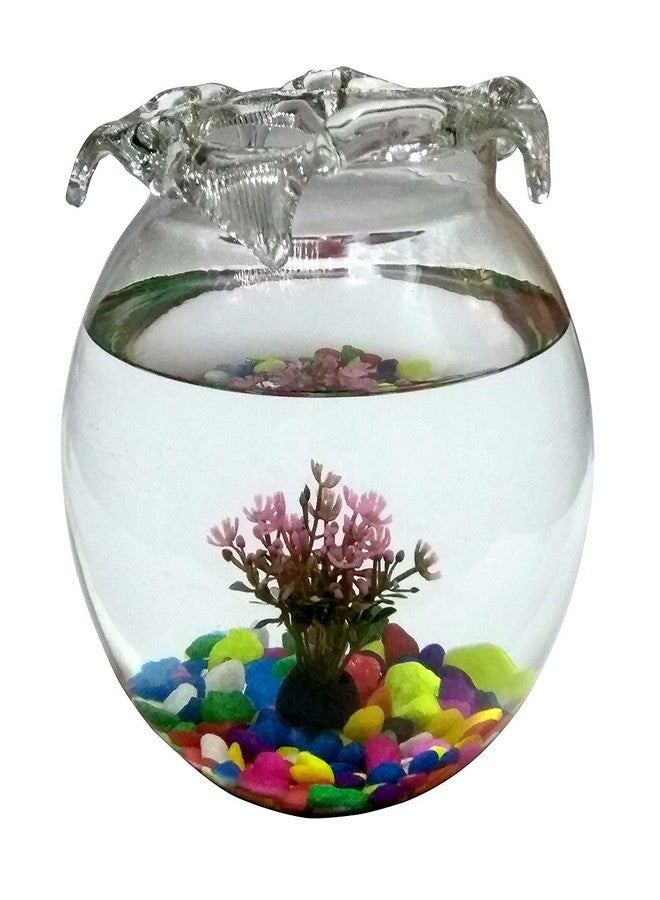ABG Round Glass Terrarium/Aquarium Vessel. ONE Unit with Colorful Stones, ONE Artificial Plant and Two Artificial Fish.8 INCH - Image 2